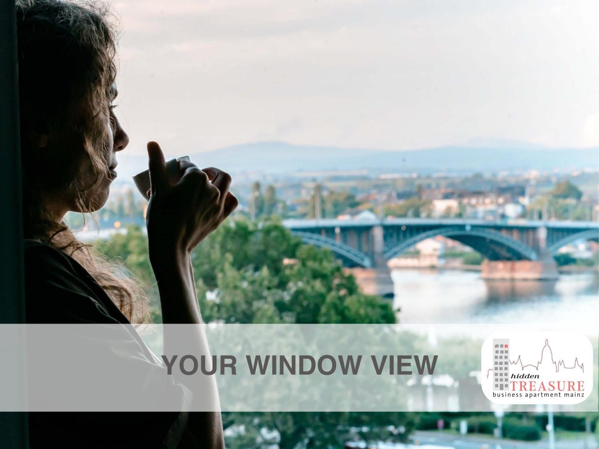 Hidden Treasure Business Apartment Mainz - Fantastic Rhine View In Center Of Mainz Old Town Ngoại thất bức ảnh