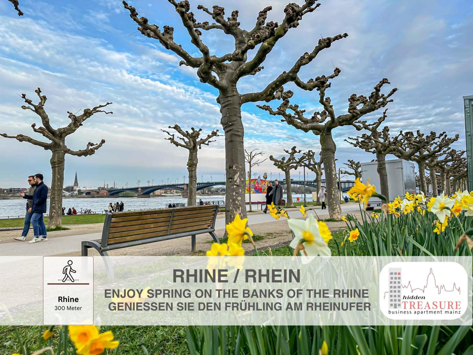 Hidden Treasure Business Apartment Mainz - Fantastic Rhine View In Center Of Mainz Old Town Ngoại thất bức ảnh