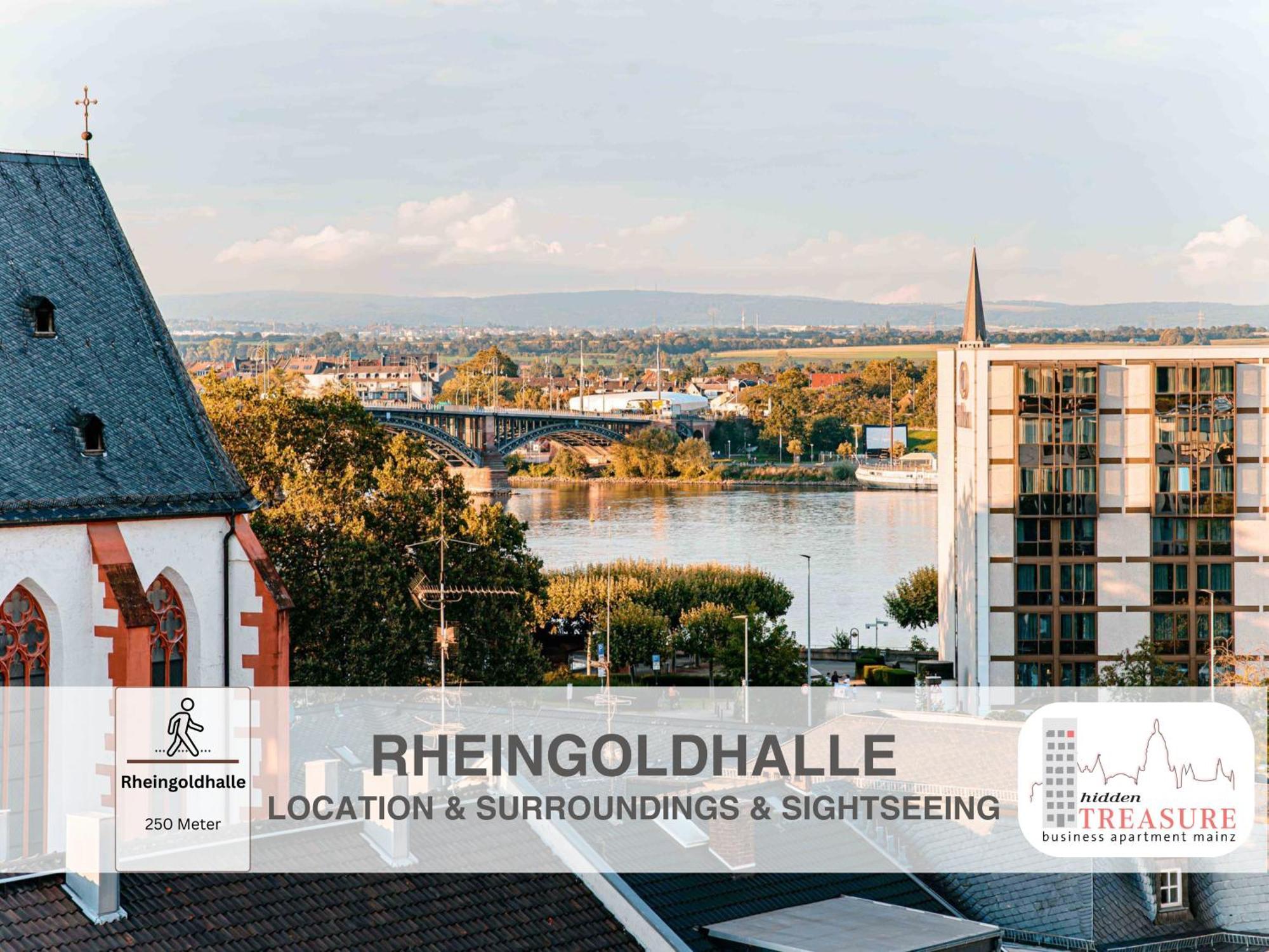 Hidden Treasure Business Apartment Mainz - Fantastic Rhine View In Center Of Mainz Old Town Ngoại thất bức ảnh