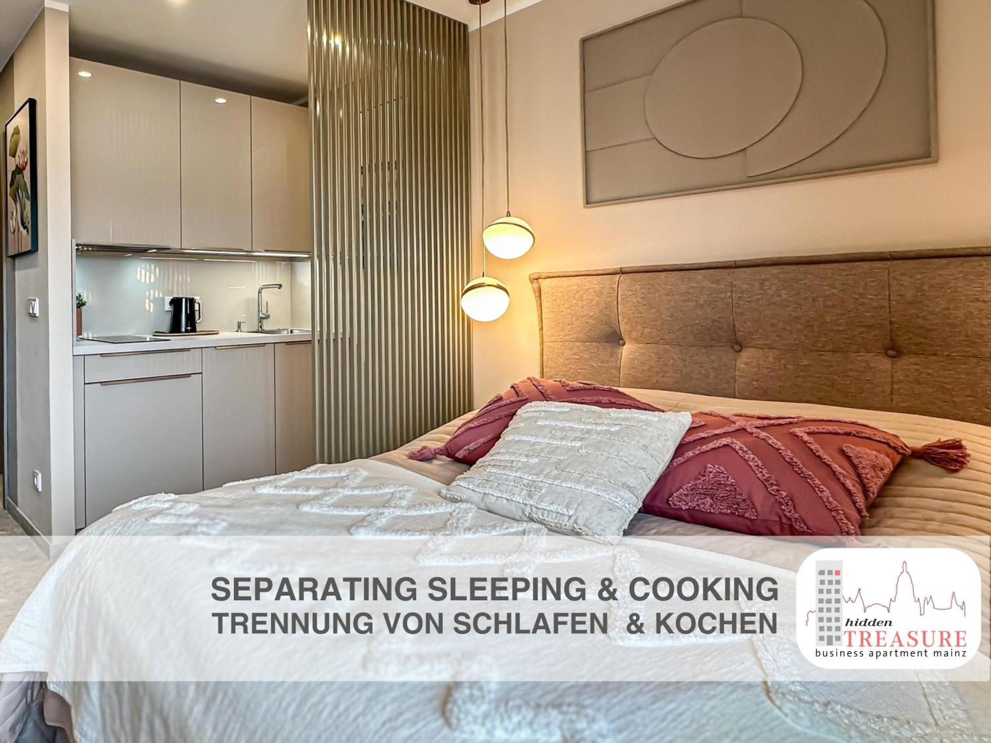 Hidden Treasure Business Apartment Mainz - Fantastic Rhine View In Center Of Mainz Old Town Ngoại thất bức ảnh