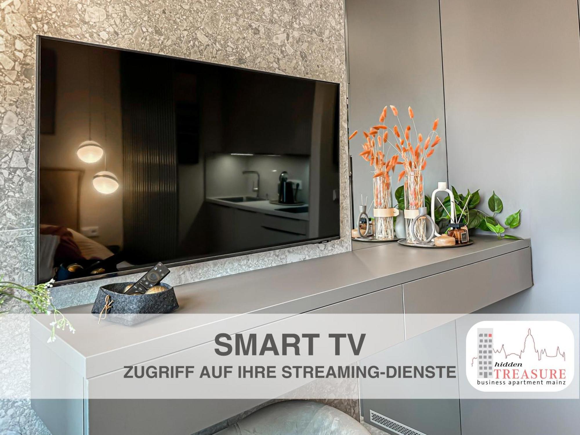 Hidden Treasure Business Apartment Mainz - Fantastic Rhine View In Center Of Mainz Old Town Ngoại thất bức ảnh