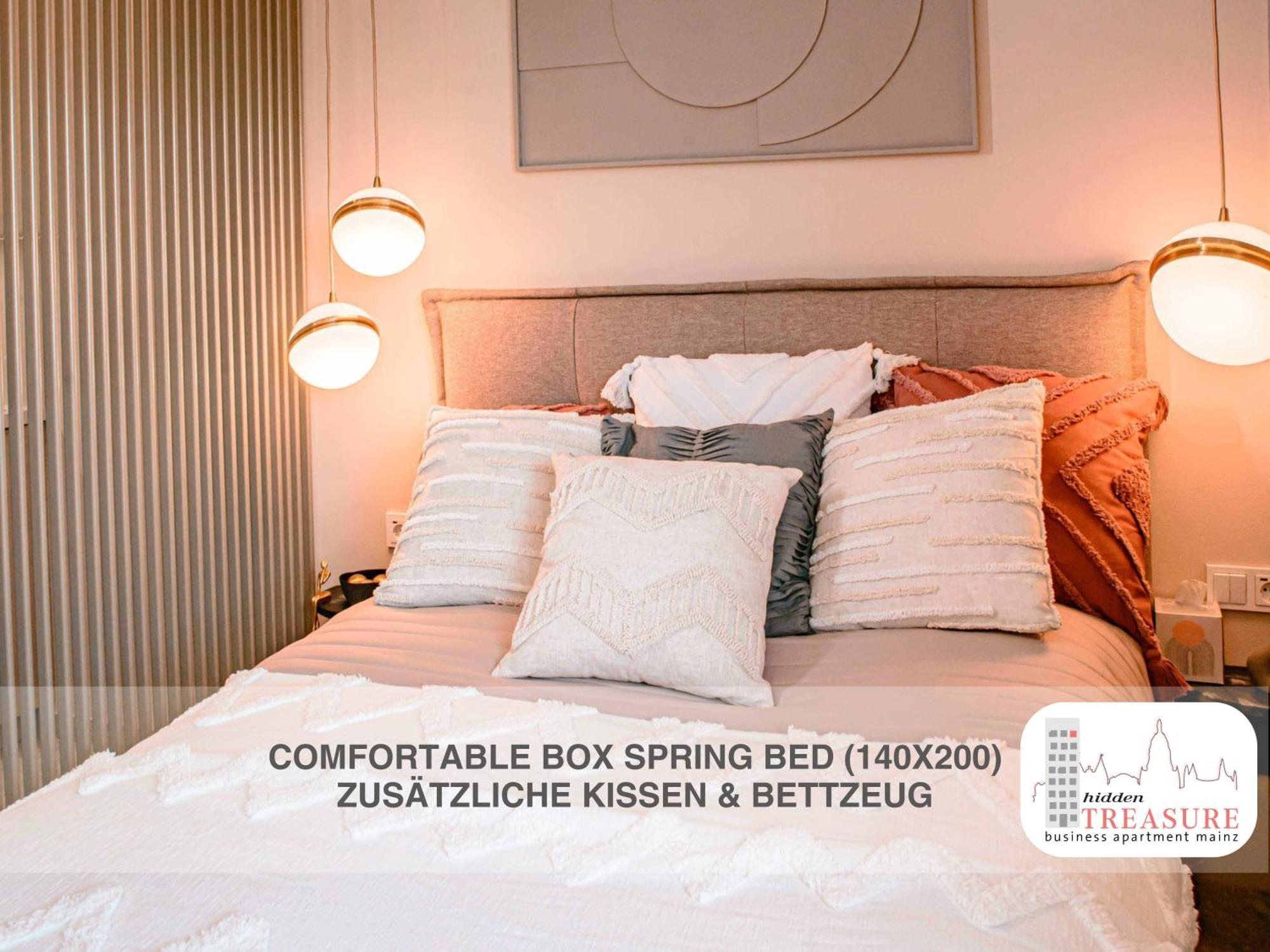 Hidden Treasure Business Apartment Mainz - Fantastic Rhine View In Center Of Mainz Old Town Ngoại thất bức ảnh